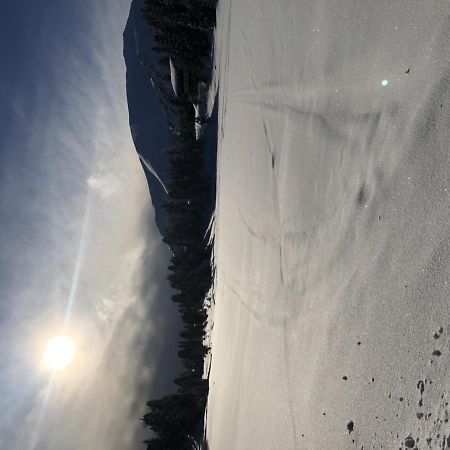 Turracher Hohe Turrach Chalet Haus Dachs מראה חיצוני תמונה